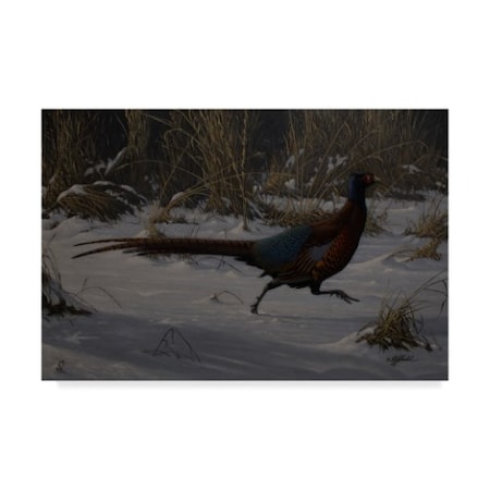 Wilhelm Goebel 'Strauch Pheasant' Canvas Art,30x47